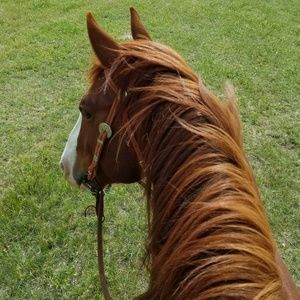 Meet your Posher, Tara